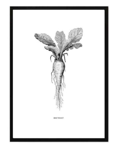 تابلو مدل Beet root کد 248901887