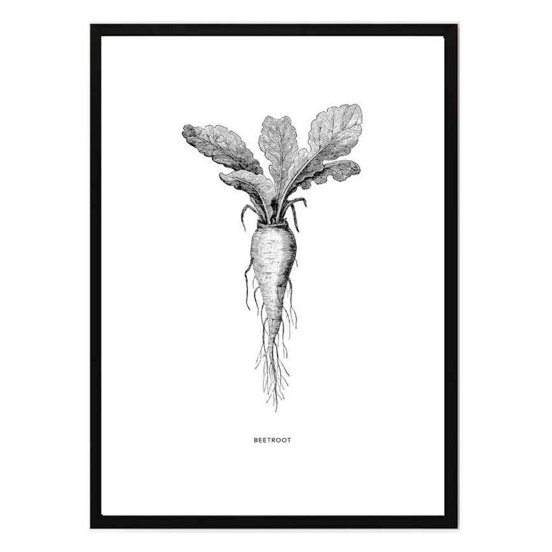 تابلو مدل Beet root کد 248901887