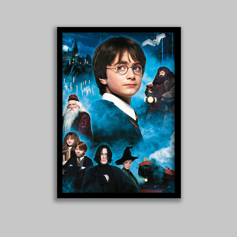 تابلو مدل هری پاتر Harry Potter کد LA-G10559-2