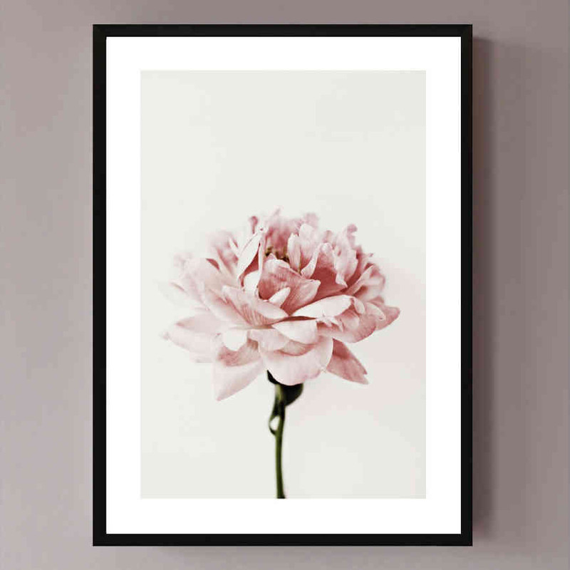 تابلو مدل Pink peony کد 2489011070 - Image 2