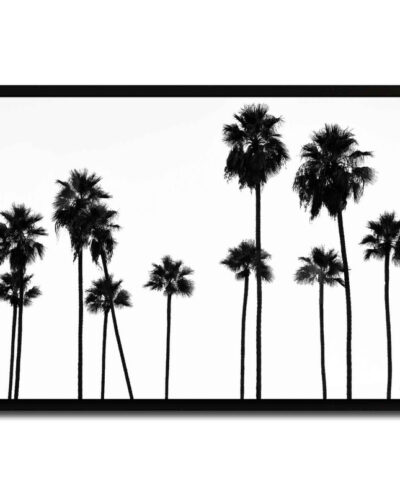 تابلو مدل Palm trees کد 248901201