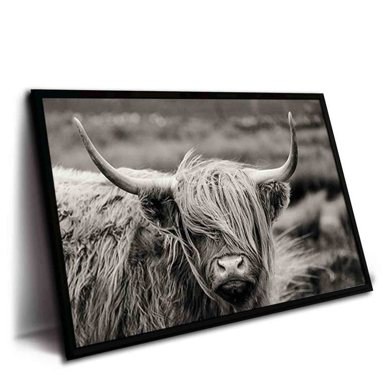 تابلو مدل Scottish Highland Cattle کد 248901283 - Image 2