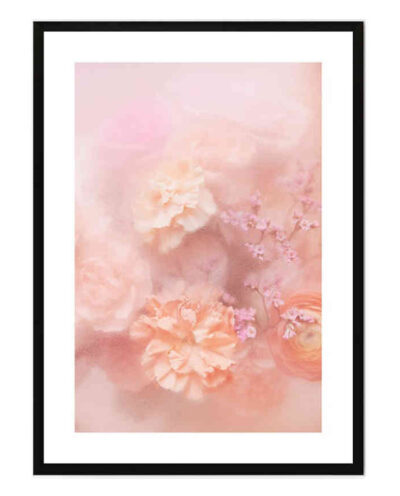 تابلو مدل Pivoine roses کد 248901597