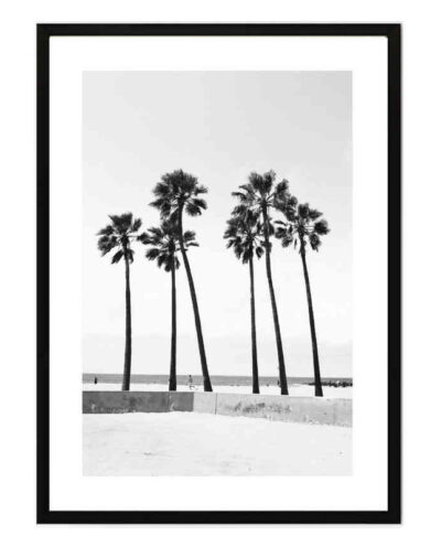 تابلو مدل Palm tree 2 کد 248901924