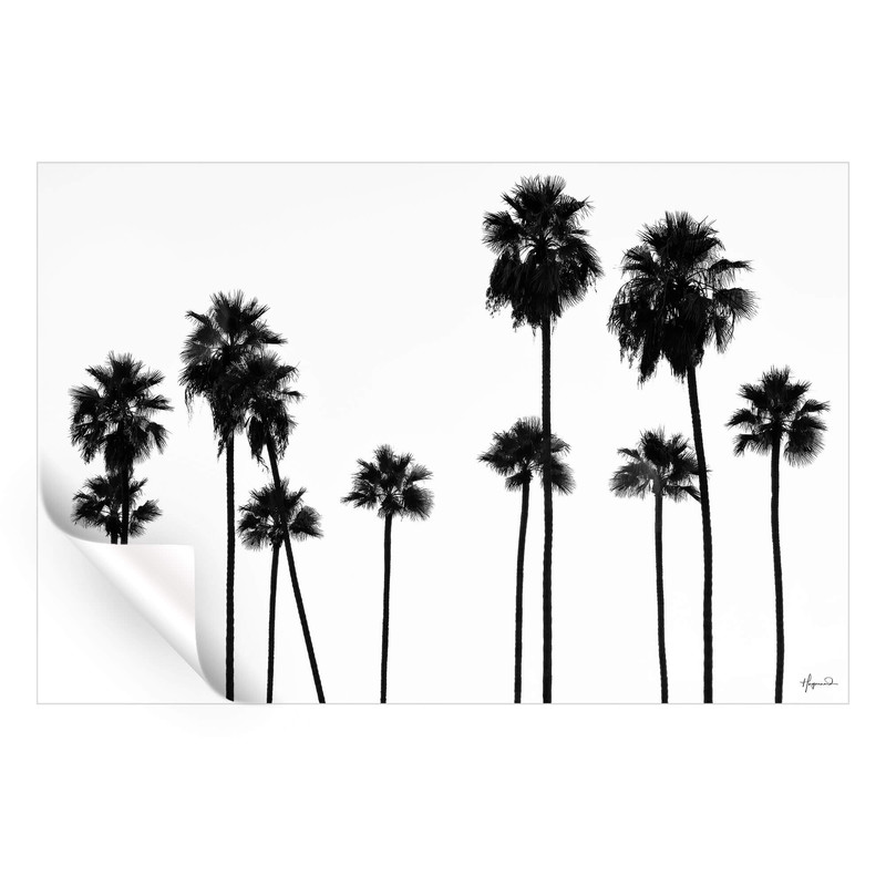تابلو مدل Palm trees کد 248901201 - Image 3