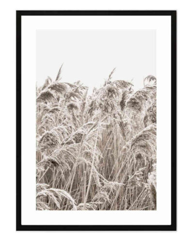 تابلو مدل Golden grass کد 248901883
