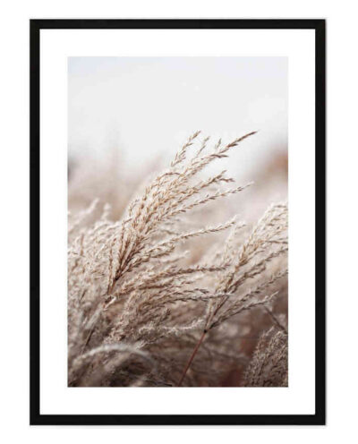 تابلو مدل Grasses in wind کد 248901899