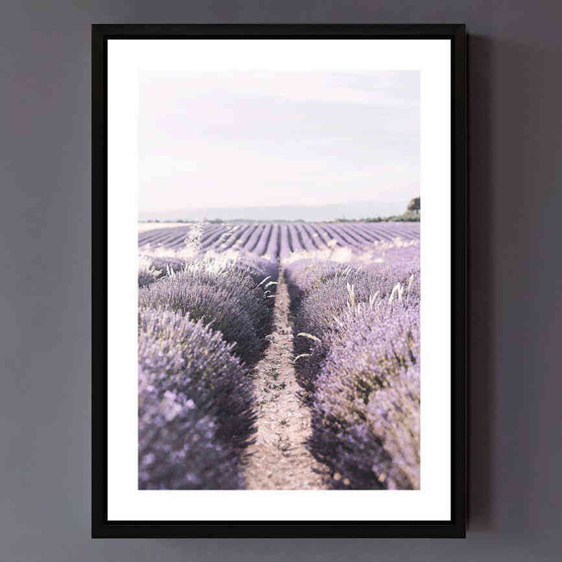 تابلو مدل Lavender field کد 248901371