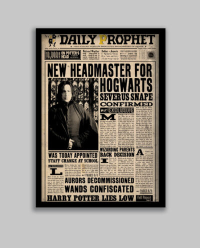 تابلو مدل هری پاتر طرح پروفسور اسنیپ Harry Potter کد LA-G10588-2