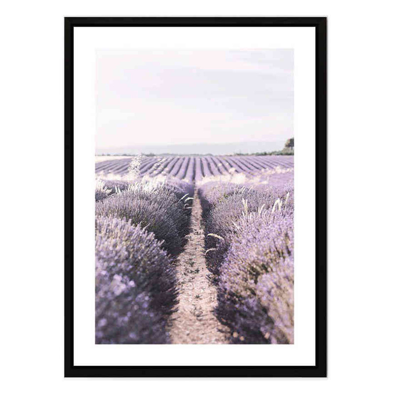 تابلو مدل Lavender field کد 248901371 - Image 2