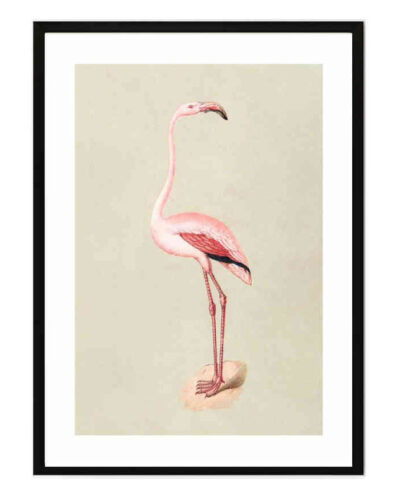 تابلو مدل Vintage flamingo کد 248901916