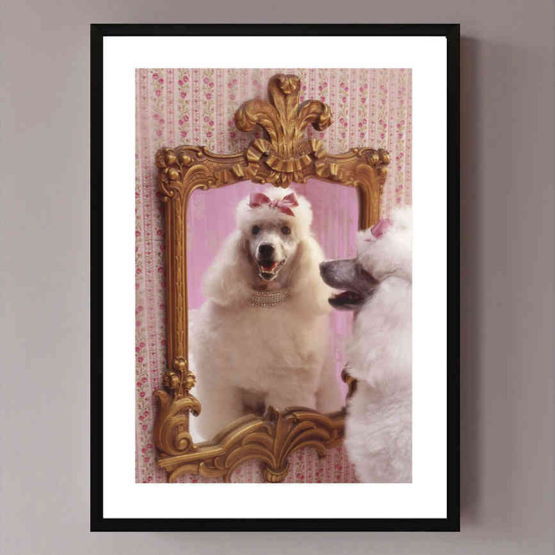 تابلو مدل Poodle salon کد 2489011015 - Image 2
