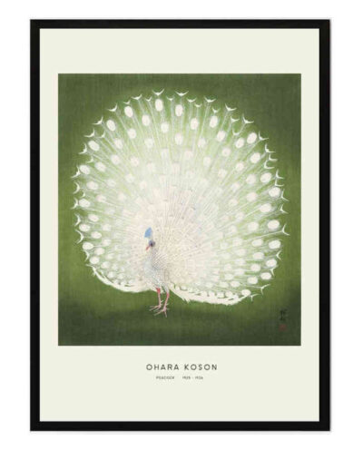 تابلو مدل Peacock by ohara کد 2489011067