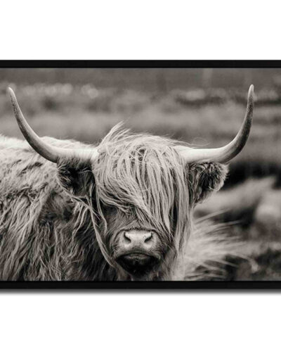 تابلو مدل Scottish Highland Cattle کد 248901283