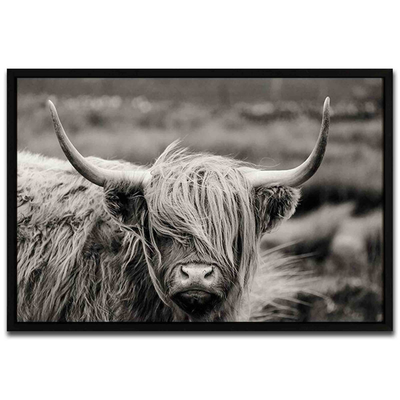 تابلو مدل Scottish Highland Cattle کد 248901283