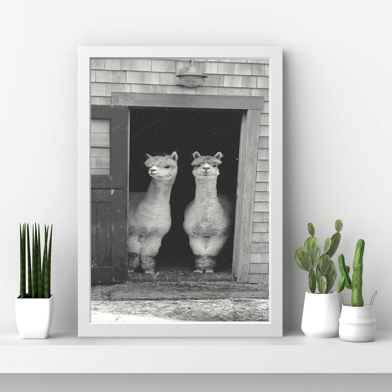 تابلو مدل لاما lama کد m1415-w - Image 4