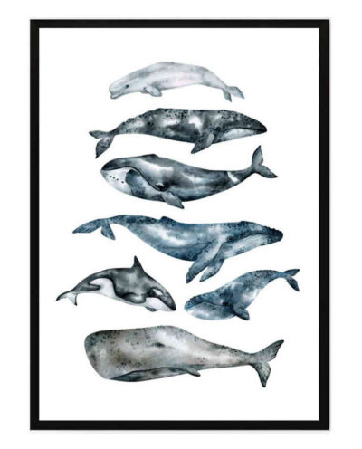 تابلو مدل Whales کد 248901860