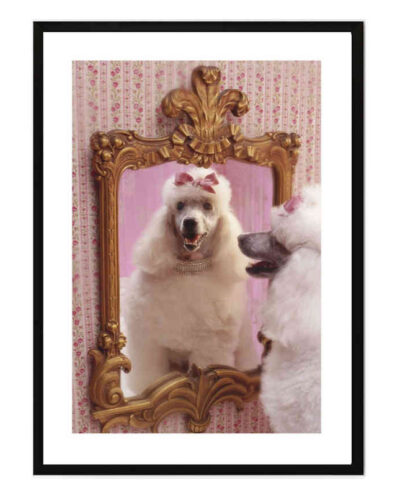 تابلو مدل Poodle salon کد 2489011015