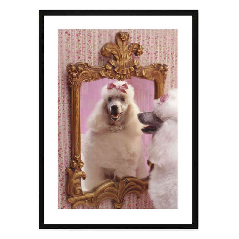 تابلو مدل Poodle salon کد 2489011015