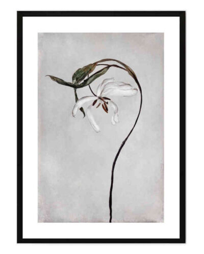 تابلو مدل Dried tulip کد 2489011039