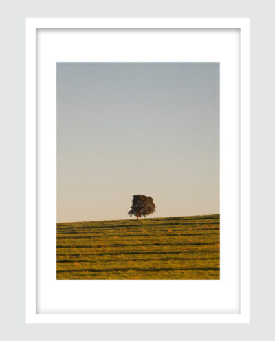 تابلو آرتستا مدل پوستر مینیمال منظره درخت کد 042S