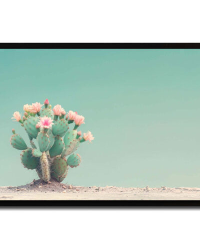 تابلو مدل Cactus flowers کد 248901242