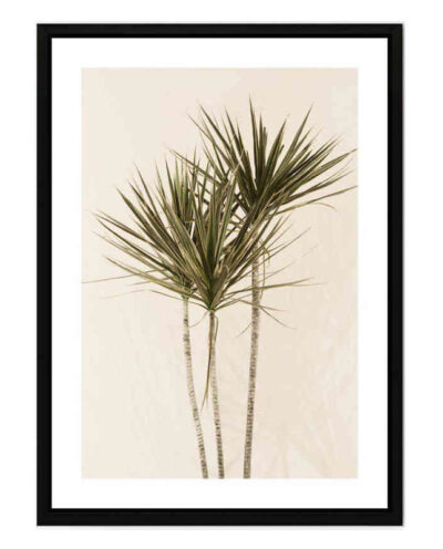 تابلو مدل Dracaena کد 248901372
