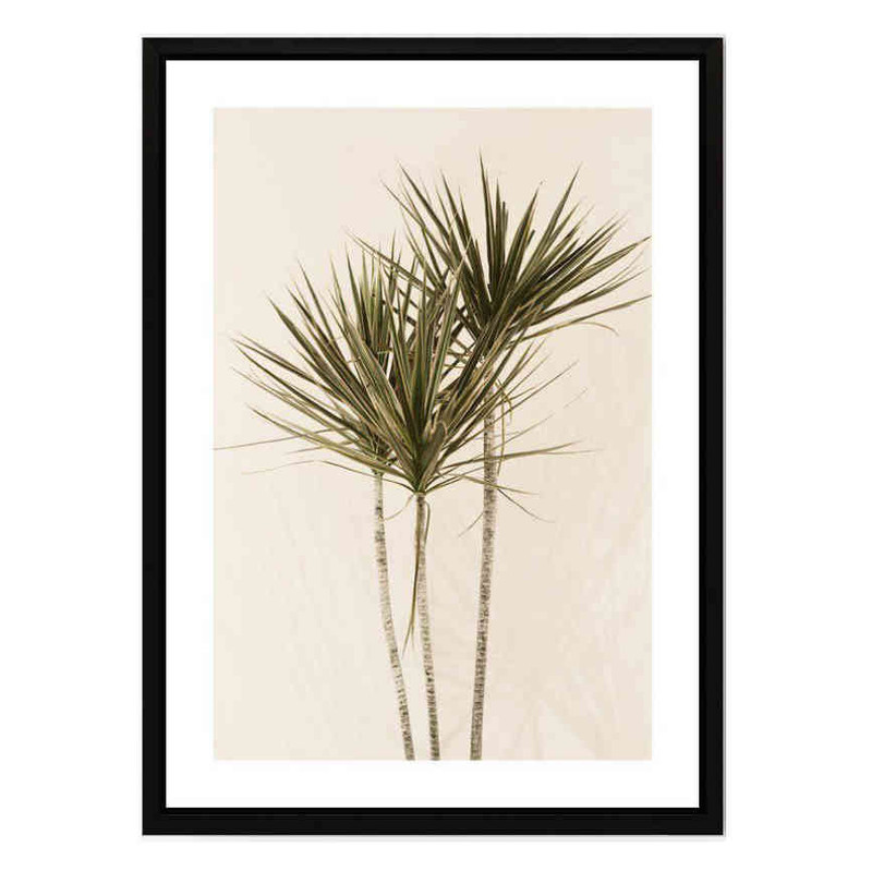 تابلو مدل Dracaena کد 248901372